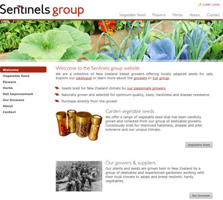 Sentinels Group