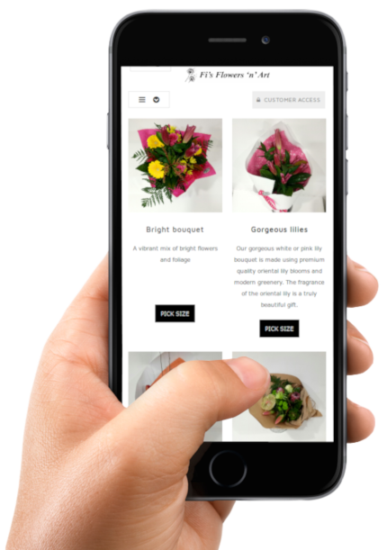 Mobile friendly web apps